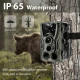 Фотопастка HantCam HC801A (автономна камера)