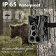 GSM фотопастка HantCam HC-801M EU