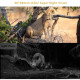 APP / 4G фотопастка Suntekcam HC810Pro Live 30Mp хмарний сервіс / онлайн відео