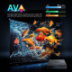 X96 NEX Amlogic S905Y5 4GB/32GB – Android TV Box високої продуктивності