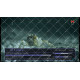Satcom T507 T2 HEVC