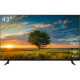 Vinga S43FHD25B 43