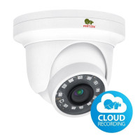 IP камера Partizan IPD-2SP-IR SE 2.7 Cloud