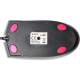 Миша A4Tech OP-550NU USB Black