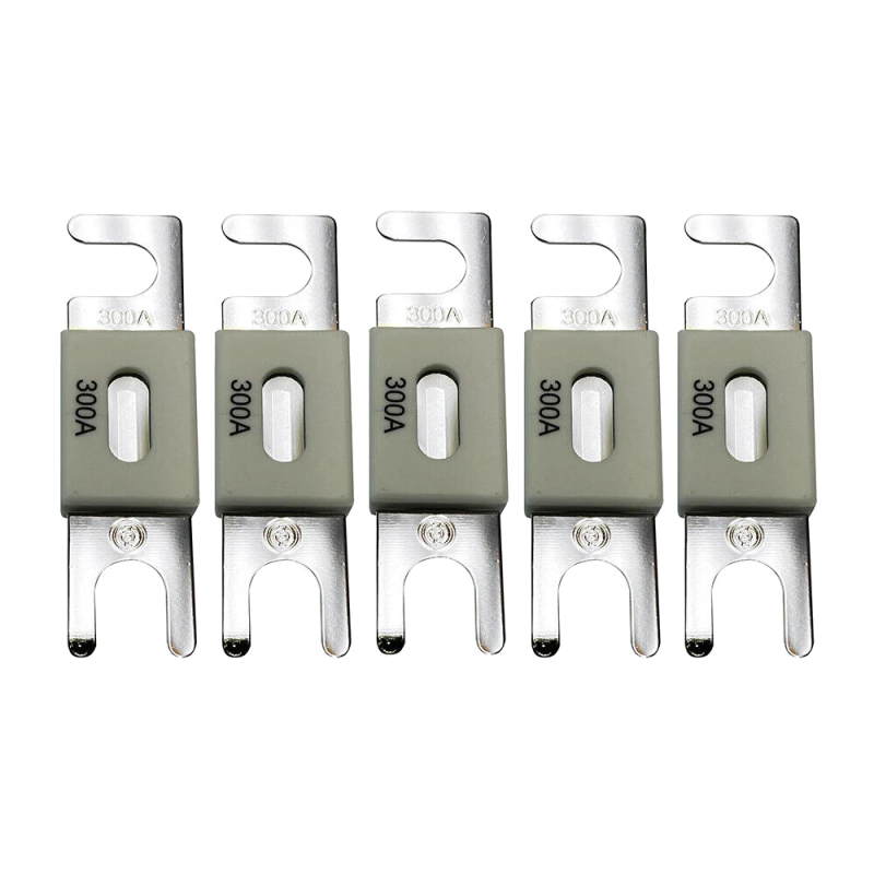 Запобіжник Victron Energy ANL-fuse 300A/80V (5 pc)