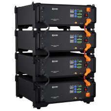 Літієва акумуляторна батарея Renon EBrick 51.2V 100AH (R-EB005161)