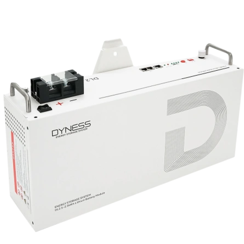 Літієва акумуляторна батарея Dyness DL2.5, 25.6V/100Аh