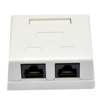 Розетка зовнішня EPNew 2хUTP, кат. 6, RJ45