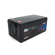 LiFePO4 акумулятор Merlion 25.6V 100 Ah (8S2P, BMS-100A)